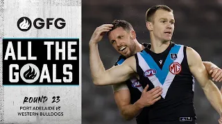 All the Goals: Round 23