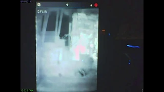 CATCHING BIGFOOT - In Thermal Videos / Photos