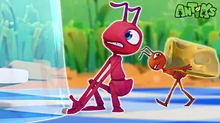 Oddbods Mempersembahkan: Antiks | Si Gemuk Yang Lurus | Kartun Lucu Untuk Kanak-Kanak