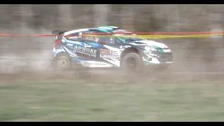 100 Acre Wood Rally - Paul Rowley - Stage 11 2024