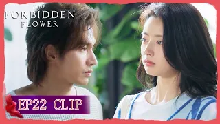 EP22 Clip | Xiao Han doesn't want to come back to her! | The Forbidden Flower | 夏花 | ENG SUB