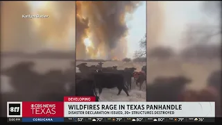 Wildfires rage in Texas panhandle
