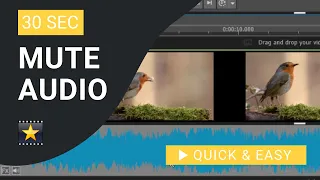 VideoPad Tutorial: How to Mute Audio in VideoPad