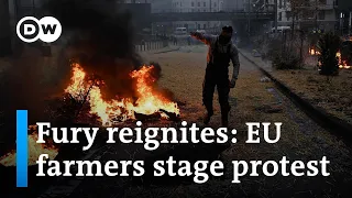 Tractors to the barricades: Farmers return to Brussels in fresh protest