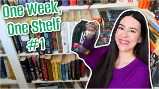 One Week, One Shelf #1 || Reading Vlog 2024