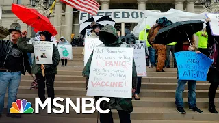 Roger McNamee: Hate Speech And Disinformation Are 'Jet Fuel' For Social Media Companies | MSNBC