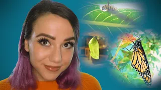 ASMR MY BUTTERFLY GARDEN 🐛🦋🦋