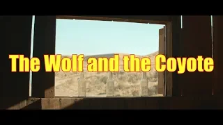 The Wolf and the Coyote [Short Film] | My Rode Reel 2019