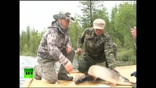 КПЕ: Иносказательно о рыбалке В В  Путина