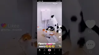 так совпало🤣🤣🤣 #приколы #ржака #угар #юмор