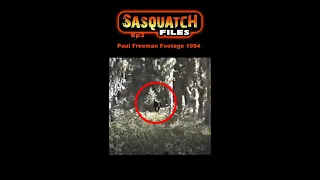 Sasquatch Files Ep 3: Paul Freeman Footage 1994 #shorts #bigfoot