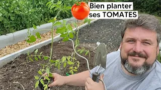 Comment bien planter les TOMATES 🍅 (puis réussir leur culture)『TUTO』