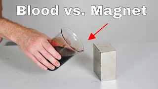 Giant Neodymium Monster Magnet vs Blood! It's Attracted!