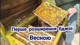 Перше розширення бджіл весною