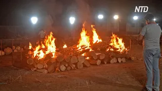 Индия бьёт антирекорды по COVID-19, кремировать умерших помогают волонтёры