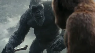 Godzilla x Kong: The New Empire (2024) Kong Meets Suko Scene