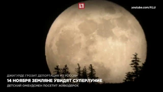 14 ноября земляне увидят суперлуние