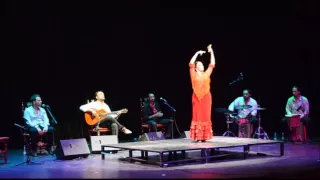 II Festival Arte Flamenco Estella-Lizarra 2016 - Belén López (Alegrías)