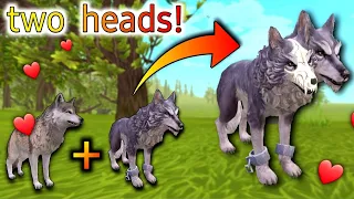 wildcraft two head playble animals 😢 two head and one body 😰wc unicorn the horse wildcraft