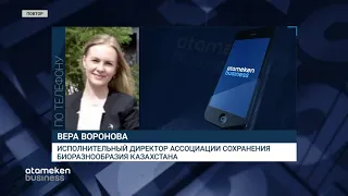 ТРАССА «ЦЕНТР-ЗАПАД» СТАЛА ПОВОДОМ ДЛЯ СПОРОВ МЕЖДУ ЭКОЛОГАМИ И СЕЛЬЧАНАМИ