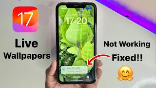 iOS 17 Live Wallpapers are not working on iPhone Fixed - How to enable Live Wallpapers (iOS 17)