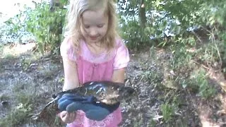 Little girl catches biggest catish ever fishing