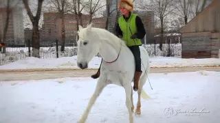 Яна Шаникова  - дрессура лошадей на свободе!