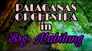 Palaganas Orchestra in Brg  Mabilang part 2