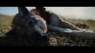PREY 2022 - Predator save the Bunny / Predator killed a Wolf HD