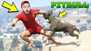 PITBULLA IŞKENCE YAPAN ŞEREFSIZE PITBULL'UM ILE SALDIRDIM - GTA 5 MODS