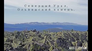 Северный Урал. Ольвинский камень.