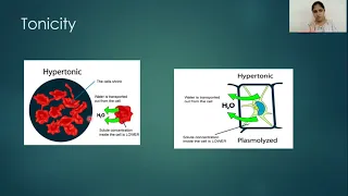 Tonicity - Hypotonic , isotonic and hypertonic solutions