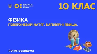 10 клас. Фізика. Поверхневий натяг. Капілярні явища (Тиж.3:ВТ)