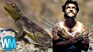 Top 10 Incredible Animals with Legit Superpowers