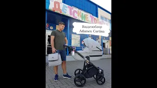 Детская коляска Adamex Cortina. Видеообзор! Адамекс Кортина!