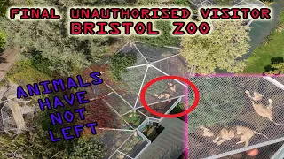 The FINAL unauthorised VISITOR to BRISTOL ZOO