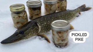Pickled Northern Pike - Ice Fishing (CATCH CLEAN COOK)