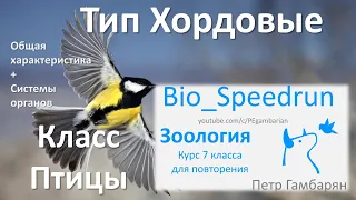 22. Птицы часть I (Speedrun зоология 7 класс, ЕГЭ, ОГЭ 2021)