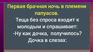 Брачная ночь у папуасов.Анекдоты