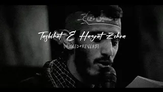 Tasbihat-e-Hazrat_Zehra_♪_[Slowed___Reverb]_-_Mehdi_Rasouli