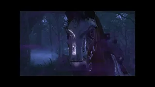 The Witcher 3 Wild Hunt - О чём говорят лошади?
