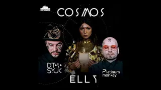 Elly Wild, D.Tarasyuk, Platinum Monkey - Cosmos (Dj Kapral Remix)