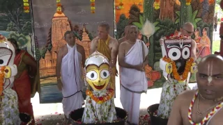 jaganath snana yatra 2016