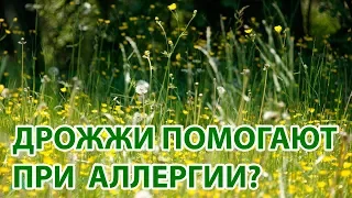 Дрожжи помогают при сезонной аллергии? Бета-глюканы, польза и вред дрожжей. Др. Майк Грегер