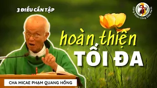 Thực hiện điều không tưởng: Tối đa HOÀN THIỆN - Cha Phạm Quang Hồng