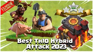 Th10 (HYBRID) Hog + Miner Attack Strategy 2023!! | Best Th10 Hybrid War Attack - Clash of Clans