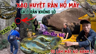 Kinh Hãi Ông lão tiếp cận xào Huyệt Cặp Rắn Hổ Mây Khổng Lồ có đôi mắt Xanh lè  Ẩn Nắp Núi Tượng