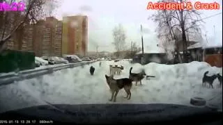 Новая подборка аварий и дтп январь 17 2015 New Best Car Crash Compila