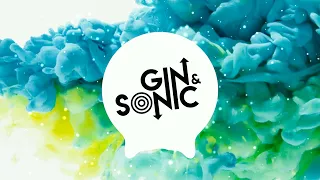 Akon - Smack That (Gin and Sonic Remix)