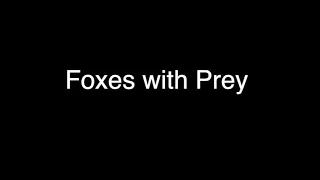 Foxes and Prey